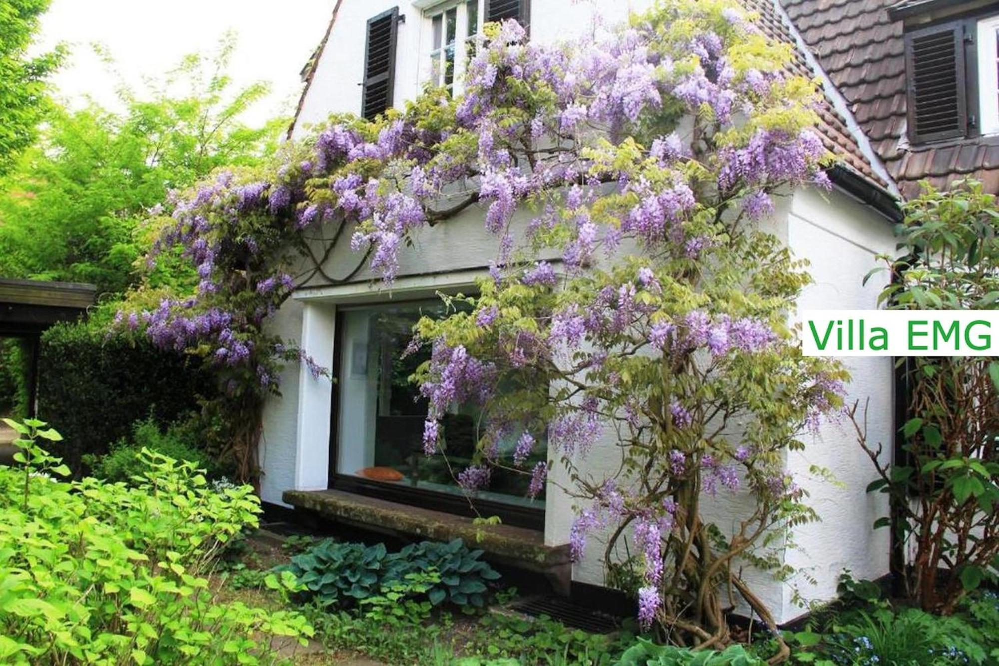 Luxury Family Holidays Villa In Emsdetten Munster Exterior foto