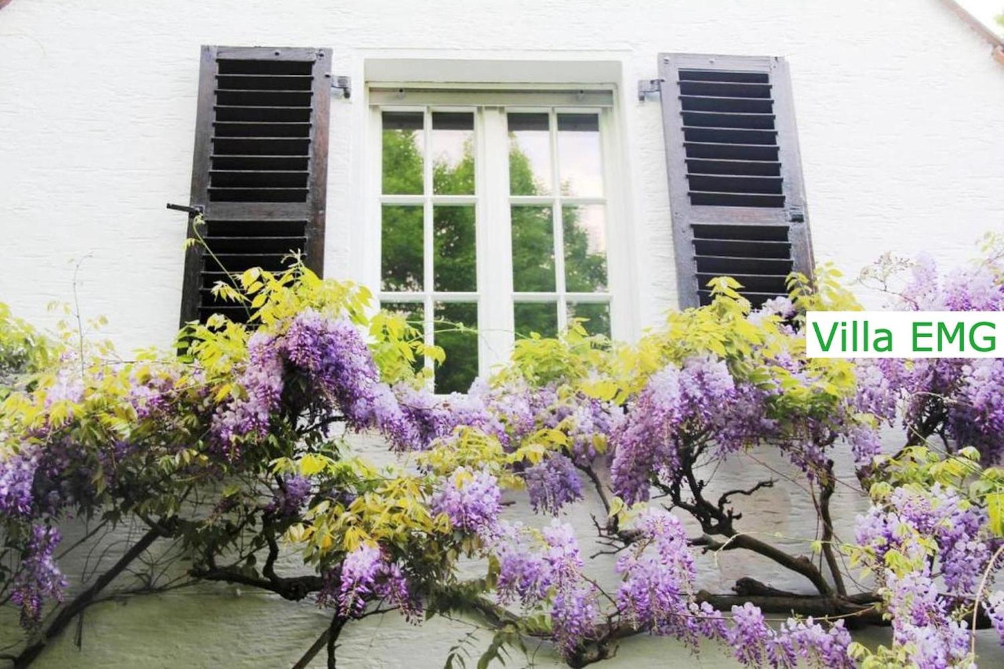 Luxury Family Holidays Villa In Emsdetten Munster Exterior foto